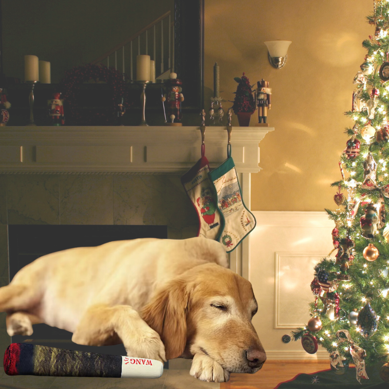 Squeaky Sound Cigar Toy